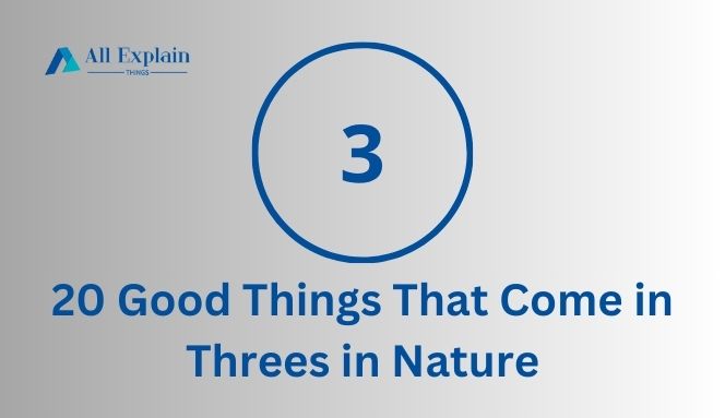 Good Things That Come in Threes in Nature