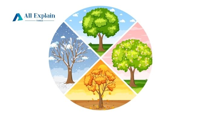 4s that come out in may