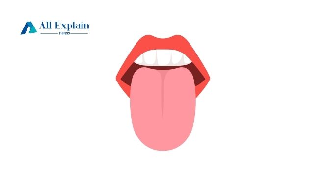 4s that come out saturday