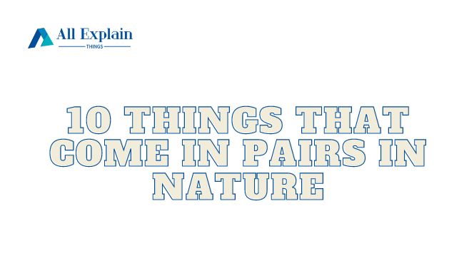 Things That Come in Pairs in Nature